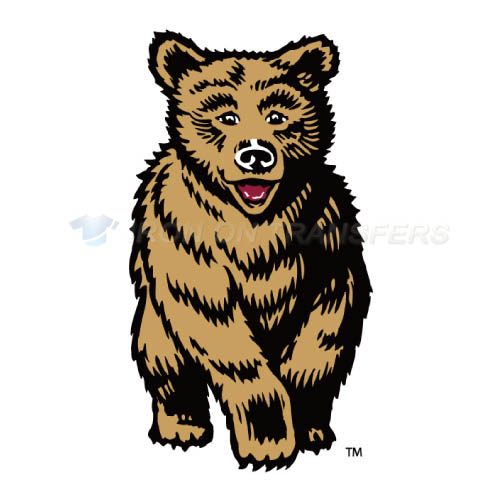 Montana Grizzlies Iron-on Stickers (Heat Transfers)NO.5172